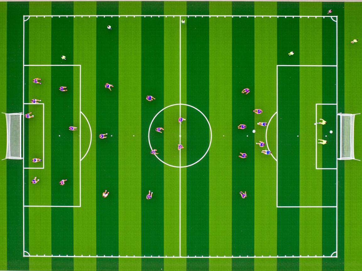 开云体育官网-中国男篮主力阵容初现雏形新老结合成亮点，中国男篮主力名单