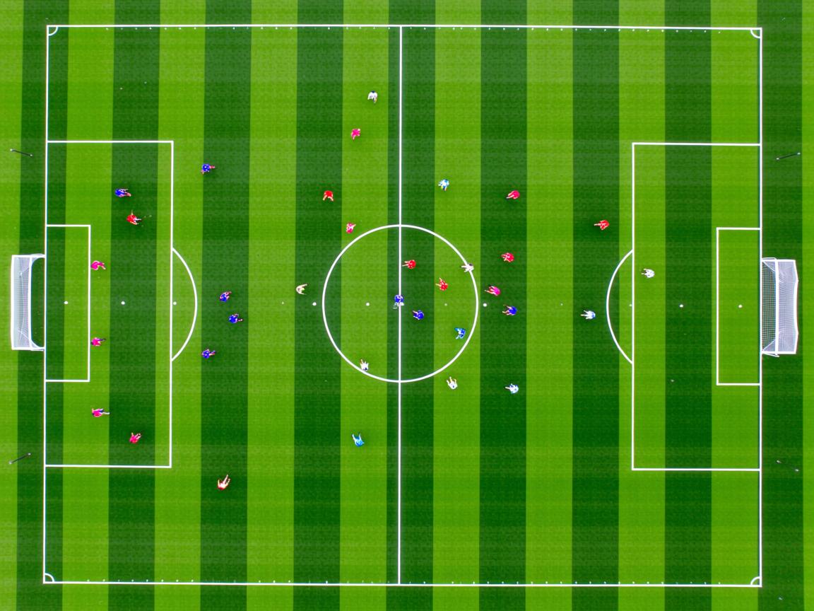 开云体育官网上-体育医疗志愿队参加国家应急演练，体育展示颁奖应急预案